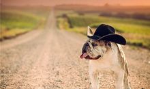 2021抖音婚礼句子