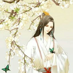 夫妇句，简短，大古风