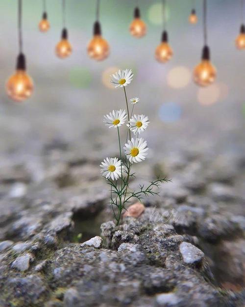 约会，着名的谚语