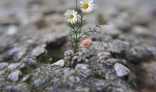 交友名言警句摘抄大全