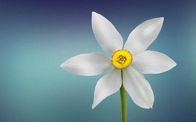 与友谊相关的单词和句子1