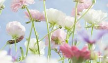 有关友情的说说简短句子