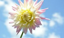 友情心灵鸡汤句子