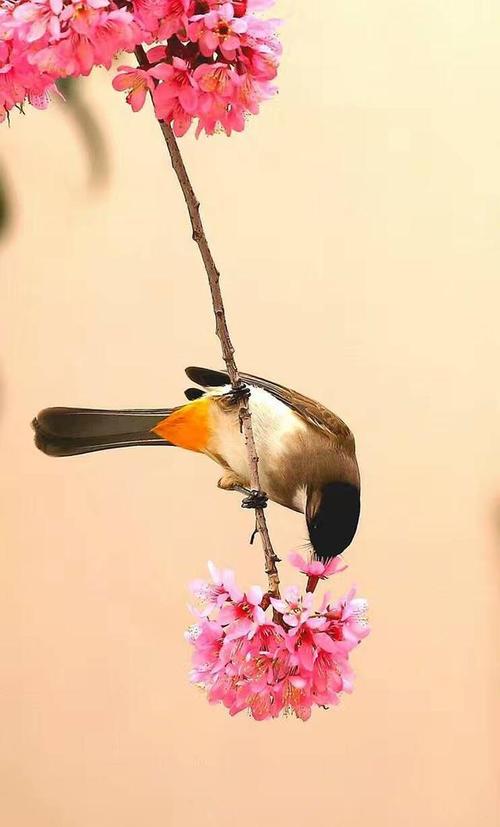 与友谊相关的单词和句子