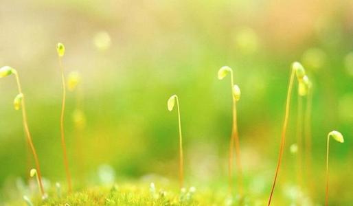 在冬天之后,它是春天的鼓舞人心的句子。