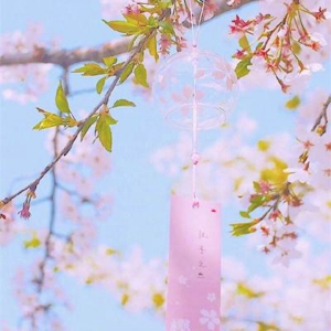 浪漫句美丽短句友谊2