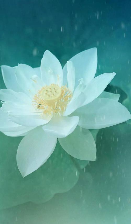 浪漫句美好的短句友谊1