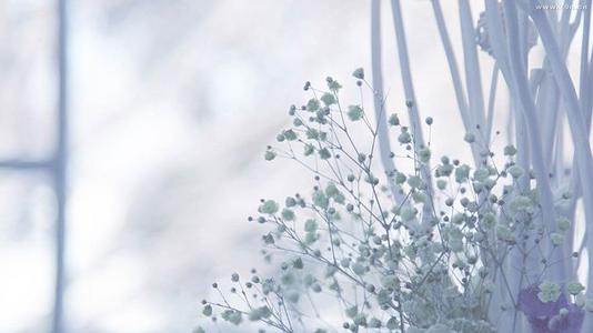 友谊将会死,句子1