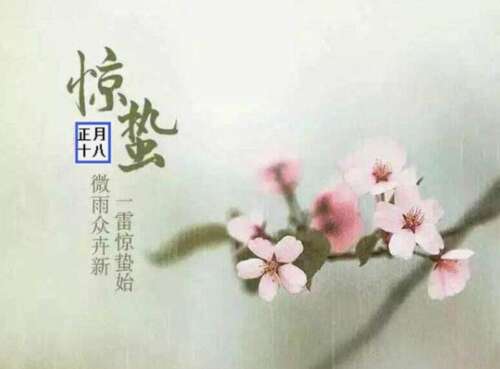 描述一个美丽的句子1