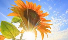 2021新年寄语简短 新年寄语简短励志