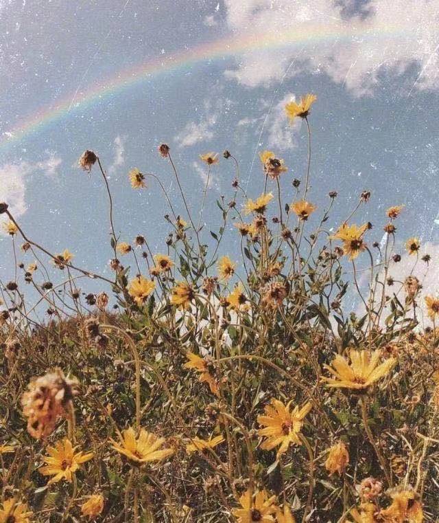 初中游戏类口号2