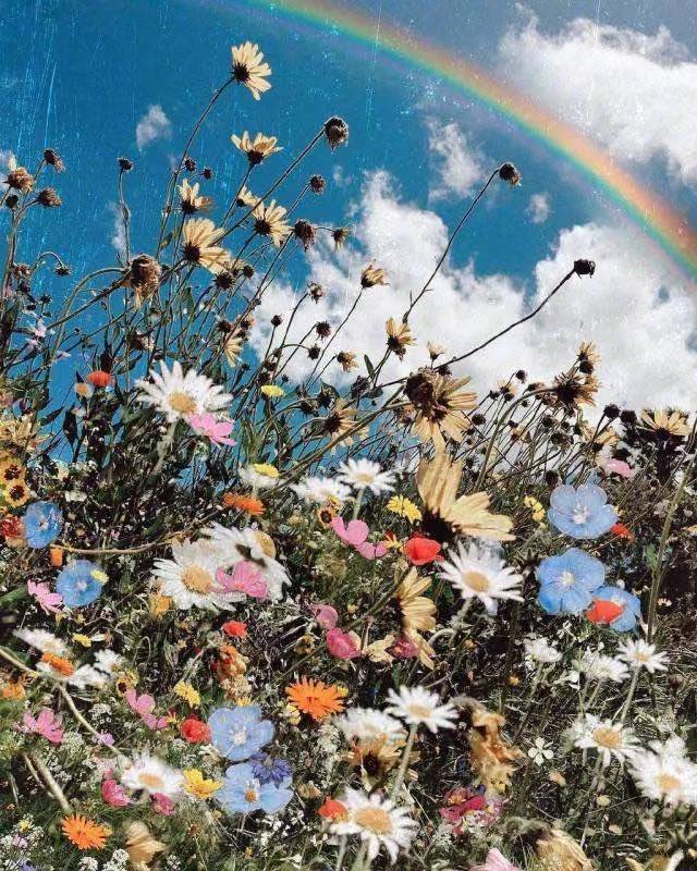 初中游戏类口号1