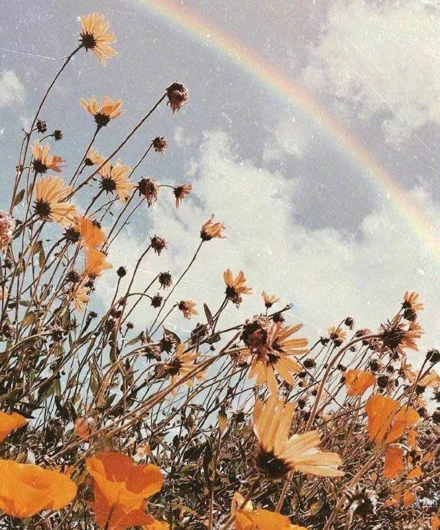 女子节运动口号2