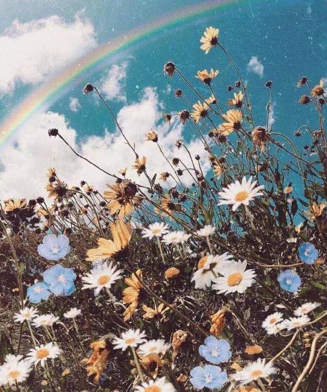 女子节体育口号