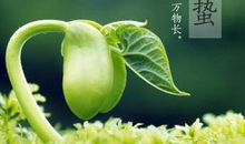 关于惊蛰节气10字诗句