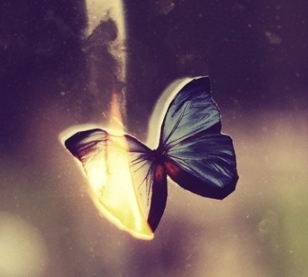 公司给员工夏天问候SMS 1