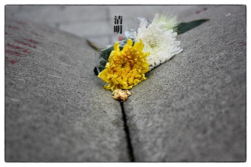 清明节谈到大全2