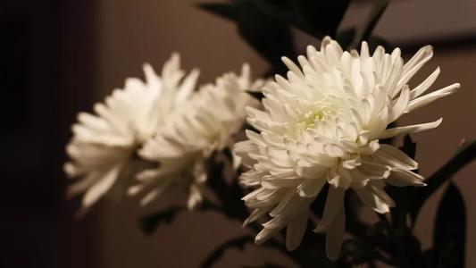 清明节谈到大全