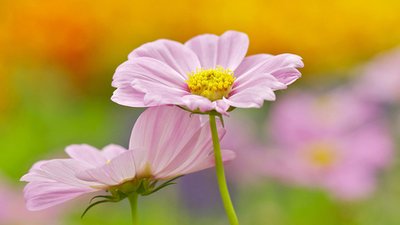 非常好的句子，晚上，能量报价1