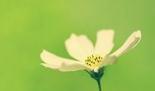 很棒的一句话晚安正能量语录