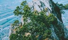 致自己一句话励志唯美