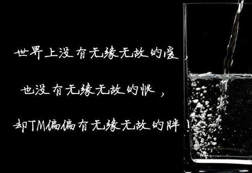 朋友圈，喝酒，有趣，谈话