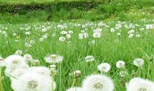 2020年心态生活签名