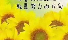 生活正能量励志句子