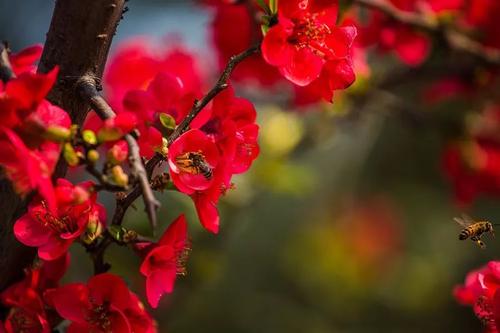 春天阳光温暖句子