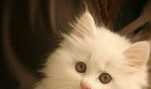 适合心情好发朋友圈的句子