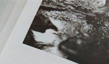 微博经典语录一句话