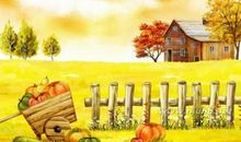 形容秋天丰收的成语