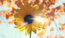 男儿奋斗的豪言壮语