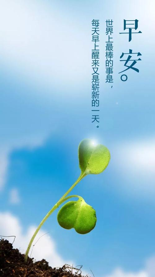 早上好句子正能量