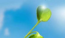 早安短句正能量一句话