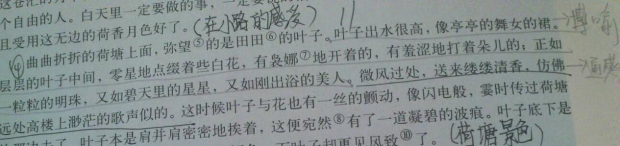 如果有什么可以造句