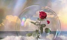 适合心情不好时发朋友圈的句子