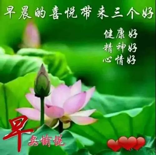 早上问候的句子