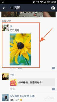 发表朋友圈说说搞笑