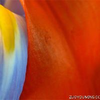 谈论有吸引力评论的句子最具吸引力的评论（选定了130个句子）