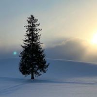 搜索清洁个性美丽签名气质非常漂亮，美观短句2022