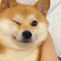 伴随着丈夫，伴随着幸福，伴随着幸福的声音。