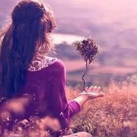 缺少别人的高质量商业句子告诉人的头发