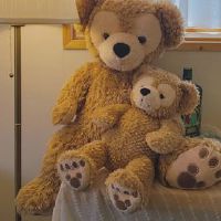 关于仪式有趣句子的朋友圈子的仪式感觉的判决