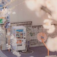 关于增长温暖的最新侮辱