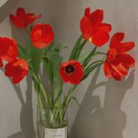 2022皇家姐姐的网名每日独特的霸气女孩的QQ昵称