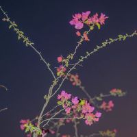 我不觉得另一方爱的副本不明白我自己的判决。