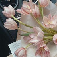 收到一个快乐新闻的判决突然收到了好消息。