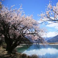 治疗部简短句子温暖文本治疗系统短句