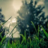 河南钓鱼流行病小河河河河河抗情语